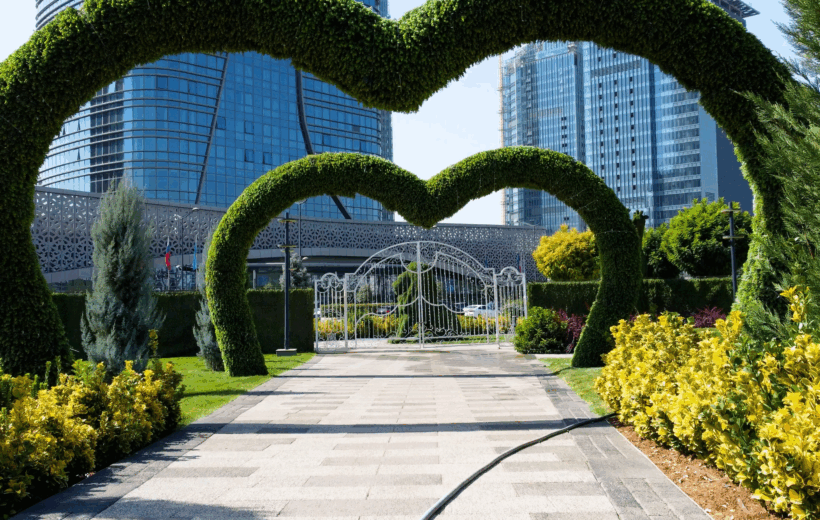 Семейный тур в Ташкент